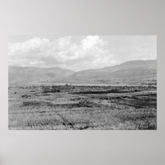 Foto van Wenatchee, WA Town Uitzicht en Orchard Poster (Voorkant)