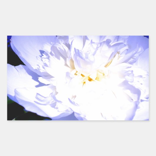 Foto van White en paars Peony Rechthoekige Sticker (Voorkant)