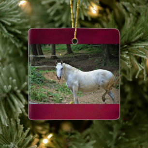 Foto van White Horse Keramisch Ornament