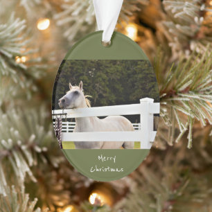 Foto van White Horse Ornament