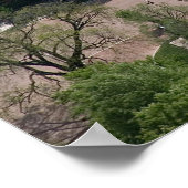 Foto van White House Aerial Poster (Hoek)