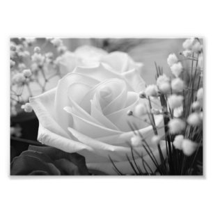 Foto van White Rose B&W Flower print Afdruk