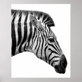 Foto van wild oerwoud met zwarte en witte zebra poster