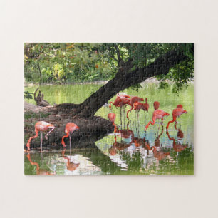 Foto van Wilde Pink Flamingo Flock Legpuzzel