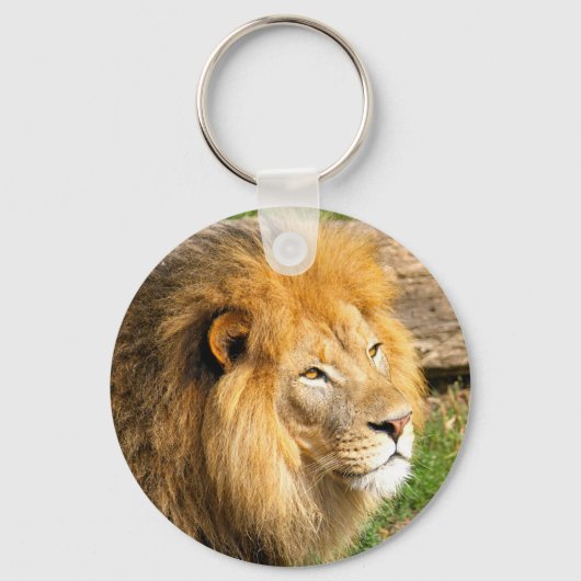 Foto van Wildlife African Lion Sleutelhanger (Voorkant)