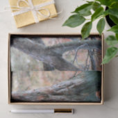 Foto van Wildlife Barred Owl Tissuepapier (Geschenk)