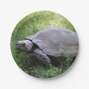 Foto van Wildlife Brown Tortoise Papieren Bordje