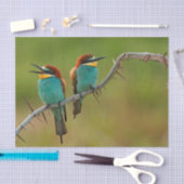 Foto van Wildlife Colorful Bee Eater Tissuepapier (Craft)