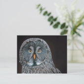 Foto van Wildlife Great Grey Owl Briefkaart (Staand voorkant)