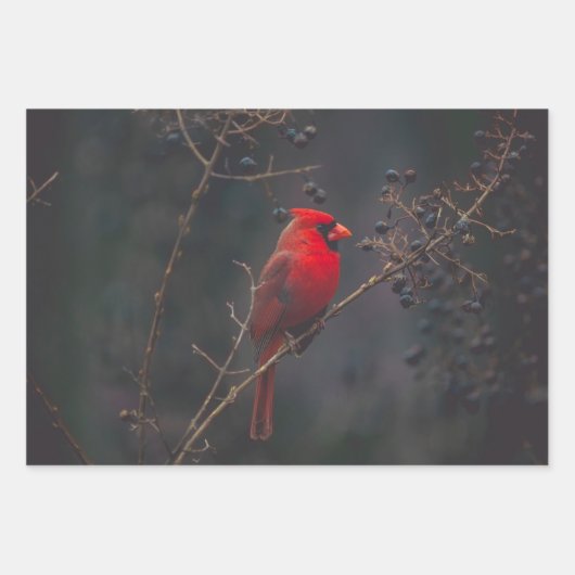 Foto van Wildlife Red Inpakpapier Vel (Voorkant)