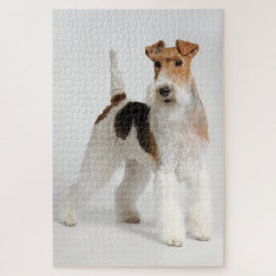Foto van Wire Fox Terrier Dog Legpuzzel
