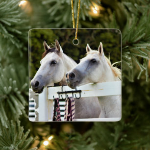 Foto van witte paarden keramisch ornament
