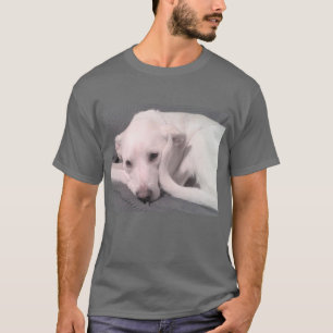 Foto van witte stut met krulstaart grijs t-shirt