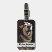 Foto van Yawning Alaskan Malamute Bagagelabel (Voorkant verticaal)