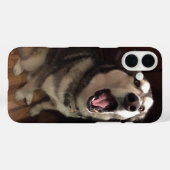 Foto van Yawning Alaskan Malamute Case-Mate iPhone Case (Achterkant (horizontaal))
