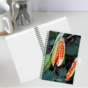 Foto van zaadpeul van Stinkende Lis Notitieboek