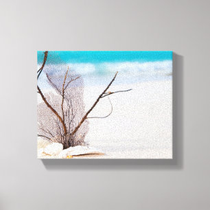 Foto van Zeeschelpen op een zandstrand Canvas Afdruk