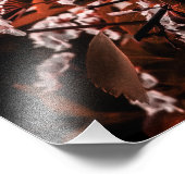 Foto vergrotingsdocument afdruk (Hoek)