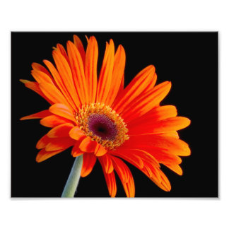 Foto voor sluiten afdruk