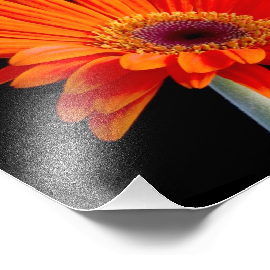 Foto voor sluiten foto afdruk (Hoek)