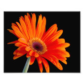 Foto voor sluiten foto afdruk (Voorkant)