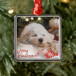 Foto Vrolijke Kerstmis Sneeuw Overlay Metalen Ornament