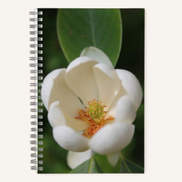 Foto Witte Magnolia Bloesem Bloem - Tijdschrift Notitieboek