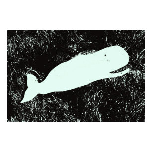 foto witte walvis afdruk