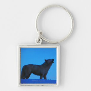 Foto, witte wolf die 's nachts huilt, Kleur, Hoog Sleutelhanger