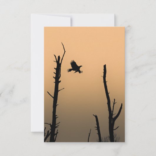 Foto zee-Eagle Wildlife Kaart (Voorkant)