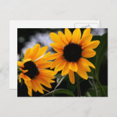 Foto zonnebloem briefkaart (Voorkant / Achterkant)