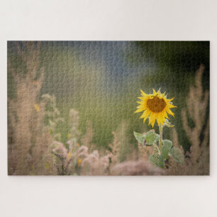 Foto zonnebloempitten Foto Legpuzzel