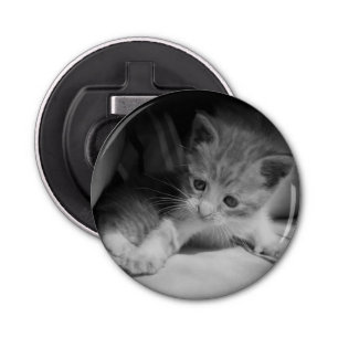 Foto zwart-wit Kitten Button Flesopener