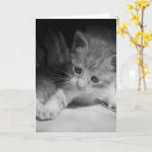Foto zwart-wit Kitten Kaart (Gele Bloem)