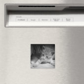 Foto zwart-wit Kitten Magneet (Insitu (Vaatwasser))