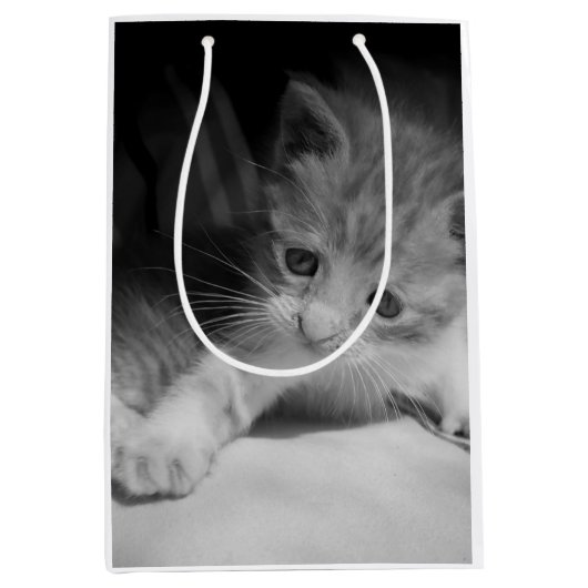 Foto zwart-wit Kitten Medium Cadeauzakje (Voorkant)