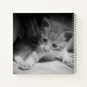 Foto zwart-wit Kitten Notitieboek (Achterkant)
