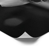 Foto zwart-wit orchidee-ventilator poster (Hoek)