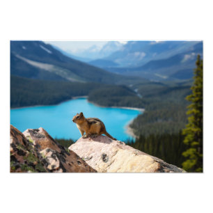 Fotoafdrukken Foto Afdruk