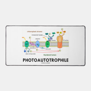 Fotoautotropfiele fotosynthese bureaumat