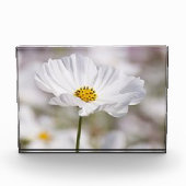 Fotoblok. Fotoblokken (Voorkant)