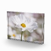 Fotoblok. Fotoblokken (Rechts)