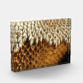 Fotoblok - Gedroogd zonnebloemhoofd (Links)