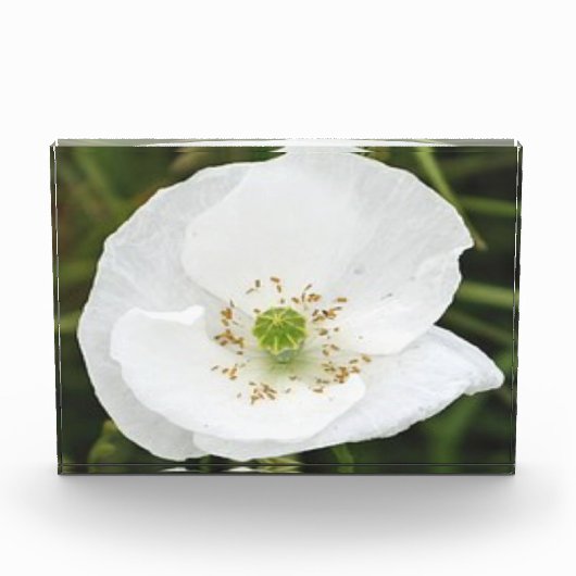 Fotoblok met bloemen (Voorkant)