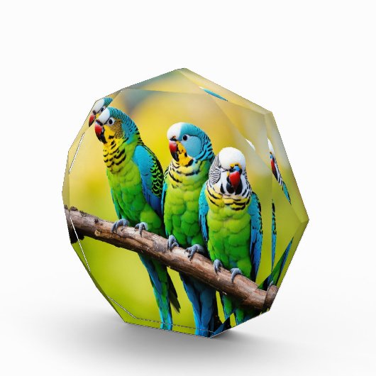 Fotoblokken (Rechts)