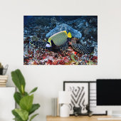 Fotobommenwerper Poster (Thuiskantoor)