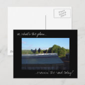 Fotobriefkaart "Chicken Plans" Briefkaart (Voorkant / Achterkant)