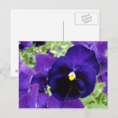 Fotobriefkaart "Donkerblauwe bloemen" Briefkaart (Voorkant / Achterkant)