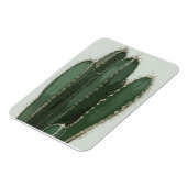 Fotocactus modern magneet (Linkerzijde)