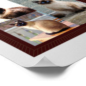 Fotocadeau voor Siamese katten lijst Poster (Hoek)